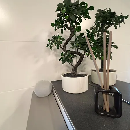 Designerwohnung Mit Balkon Und Wintergarten Apartment *